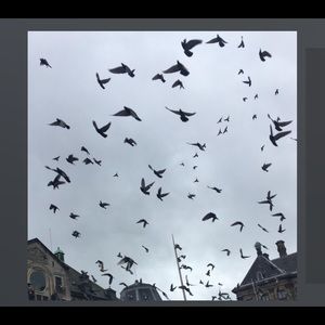 Meet your Posher, Chloe